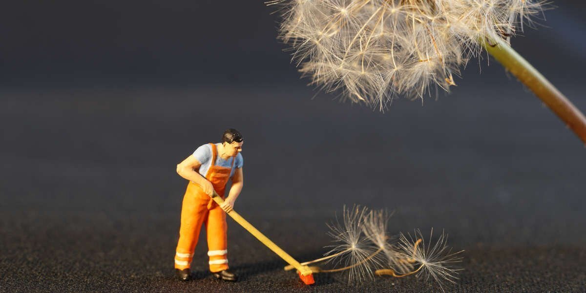 Inffiamazione E Fisioterapia Circolazione Spazzinaok 1