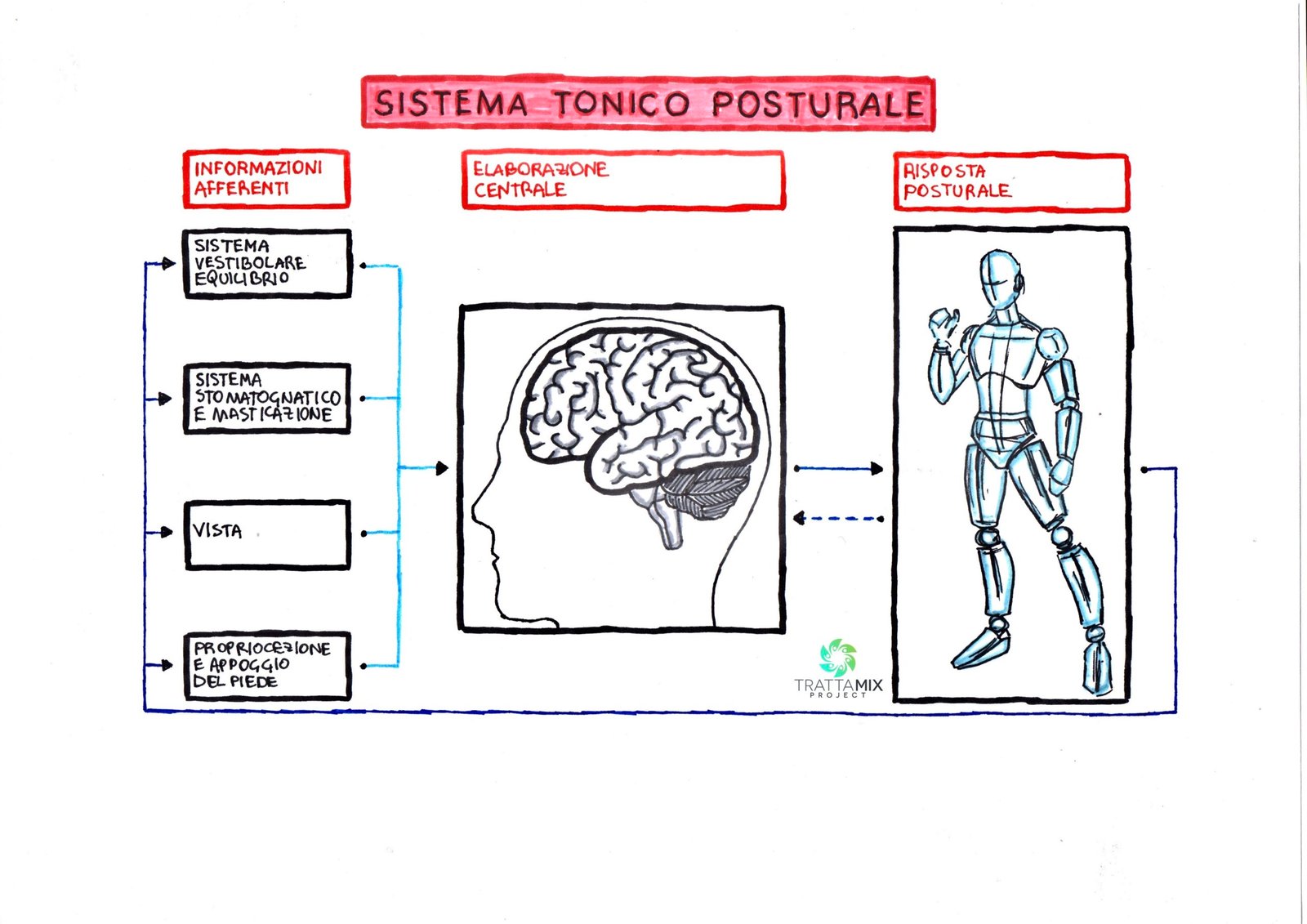 Posturologo Udine – chi è e cosa fa, come può aiutarti a lavorare sulla tua postura