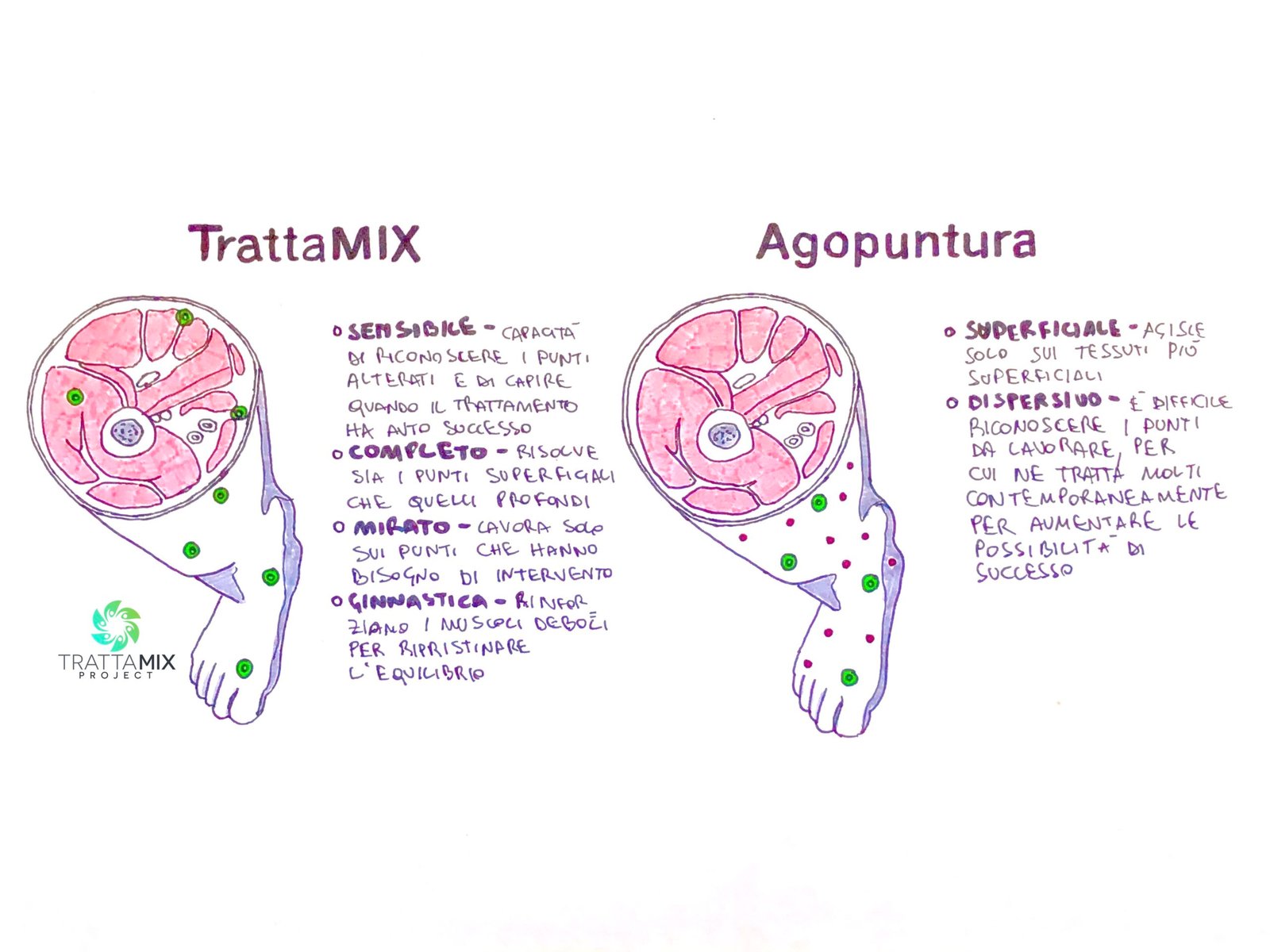 Agopuntura Udine – SENZA AGHI – Studio TrattaMIX