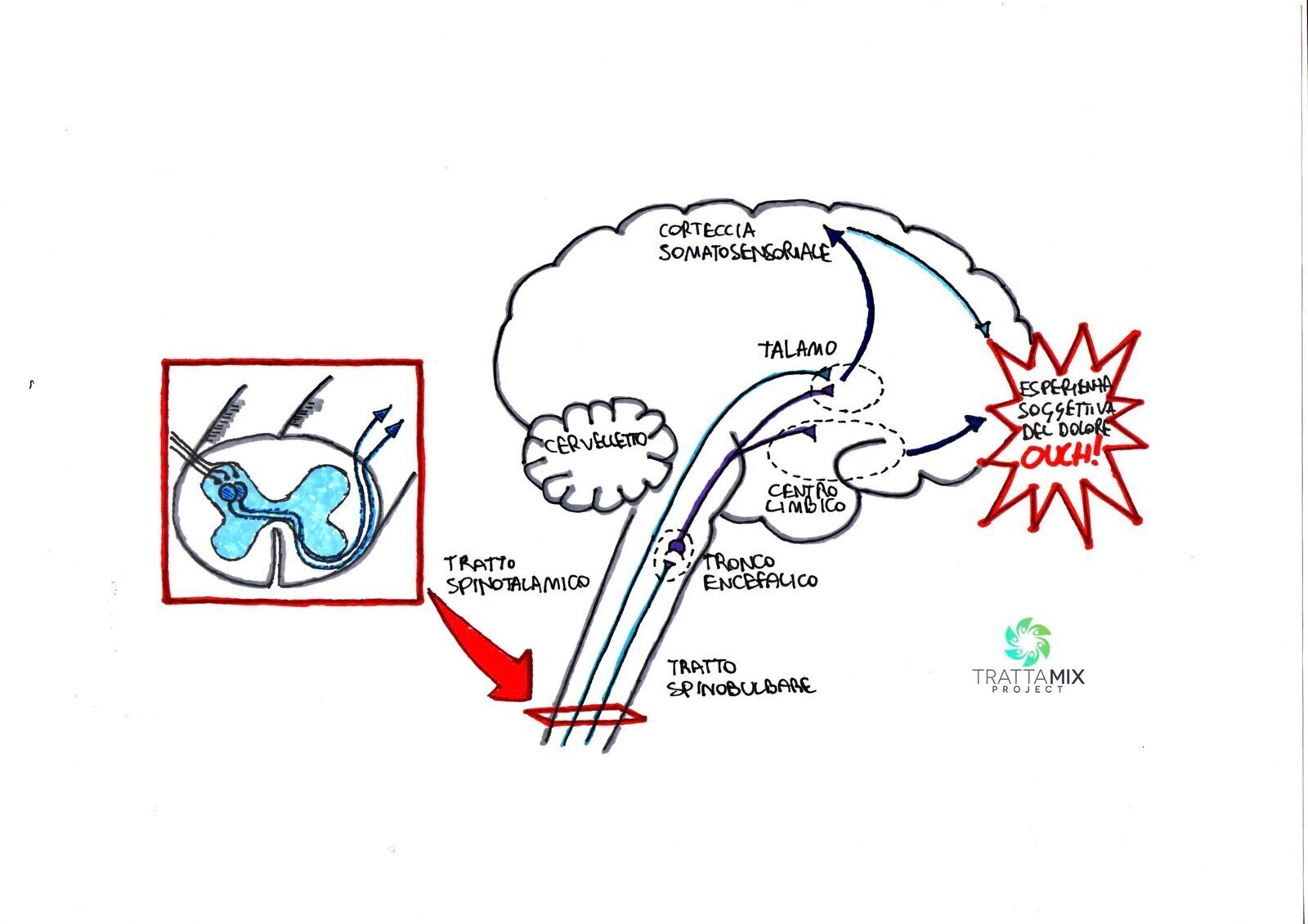 Fibromialgia Sintomi Neurologici Scaled 2