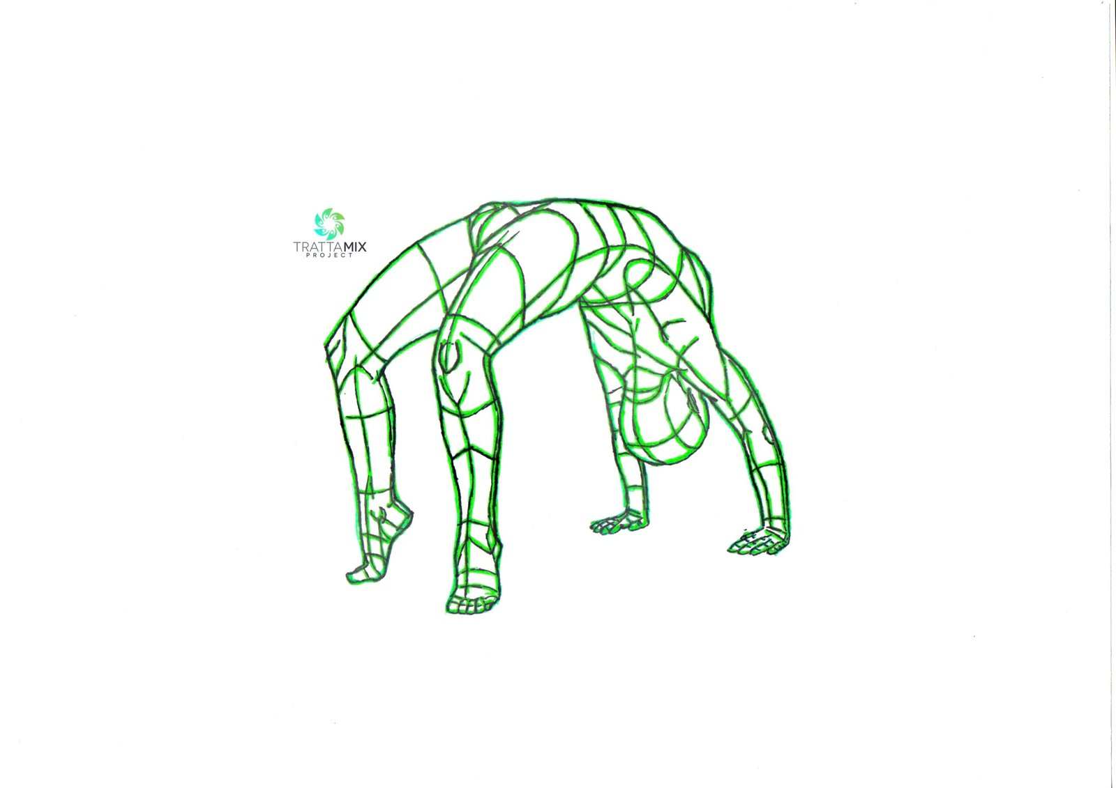 Yoga Udine – TERAPEUTICO in piccoli gruppi – TrattaMIX
