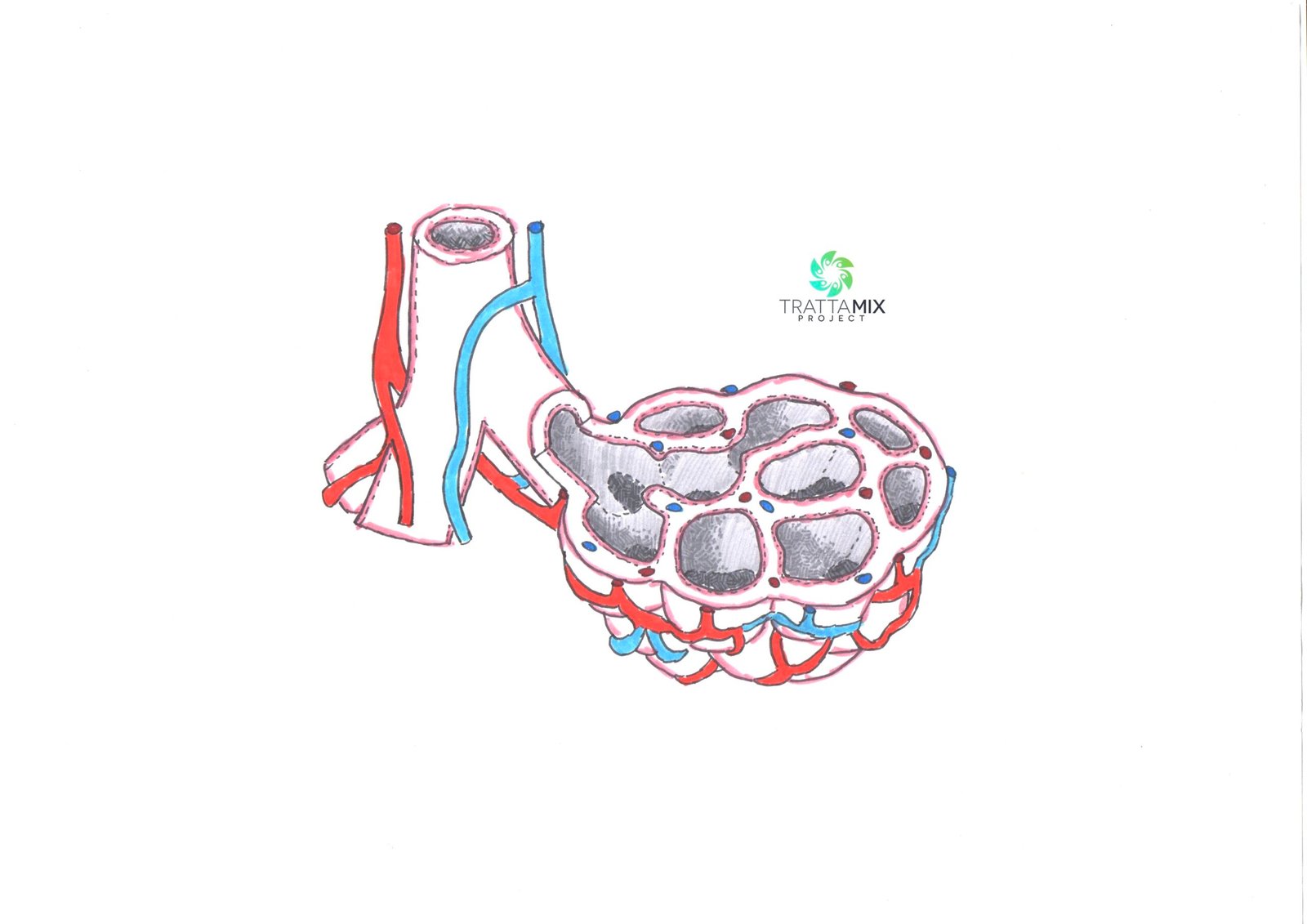 Ginnastica respiratoria bottiglia – PROVA QUESTO trattamento