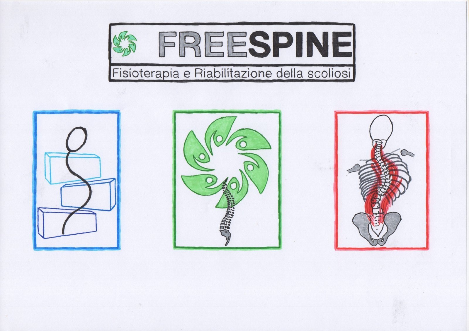 FreeSpine Scaled 1 1 1 5